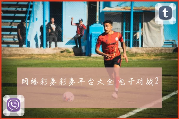 网络彩券彩券平台大全 电子对战2