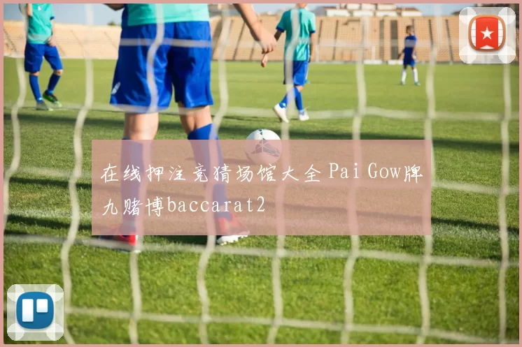 在线押注竞猜场馆大全 Pai Gow牌九赌博baccarat2