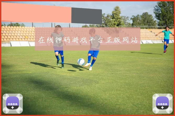 在线押码游戏平台正版网站