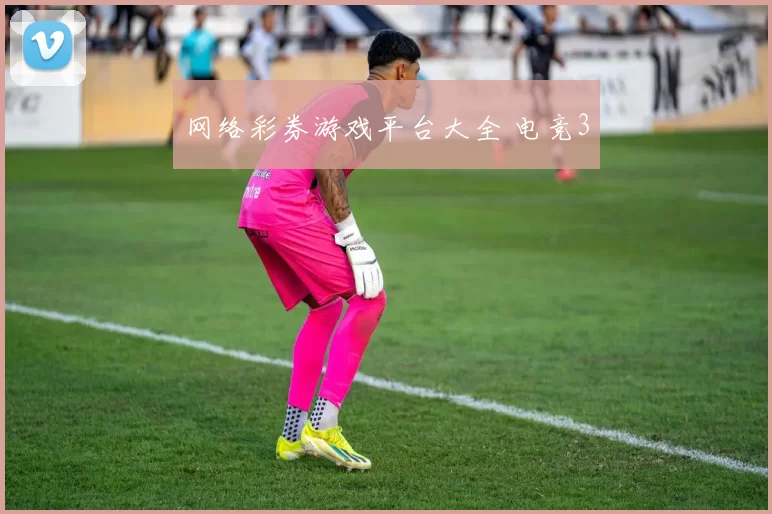 网络彩券游戏平台大全 电竞3
