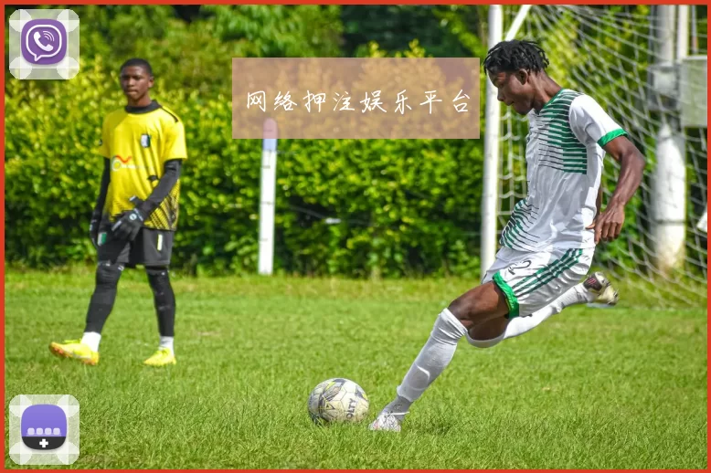 网络押注娱乐平台