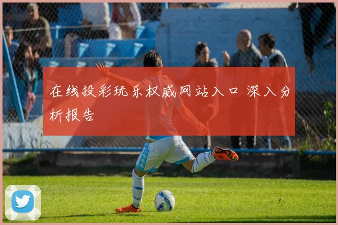 在线投彩玩乐权威网站入口 深入分析报告