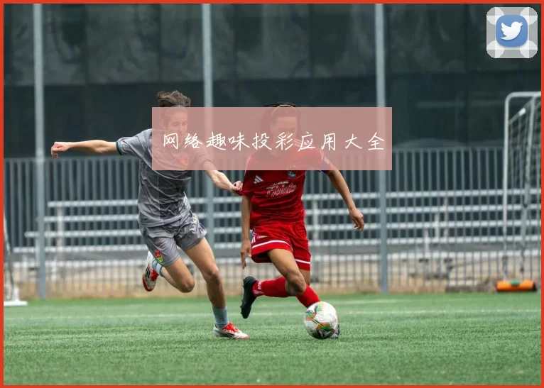 网络趣味投彩应用大全