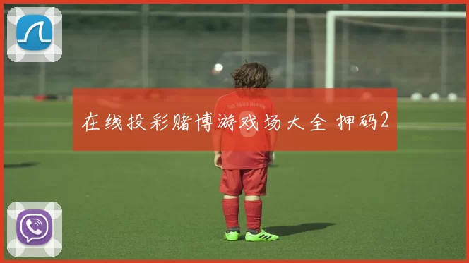 在线投彩赌博游戏场大全 押码2