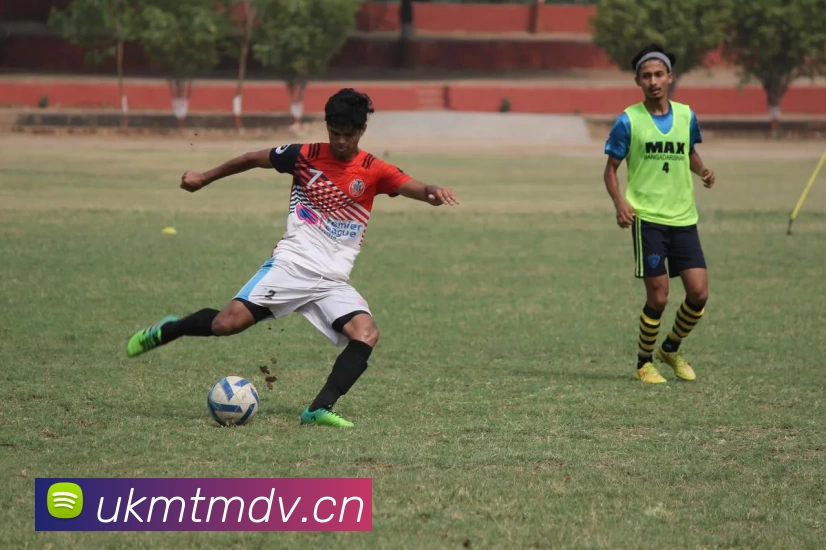 亚博体育平台生态图