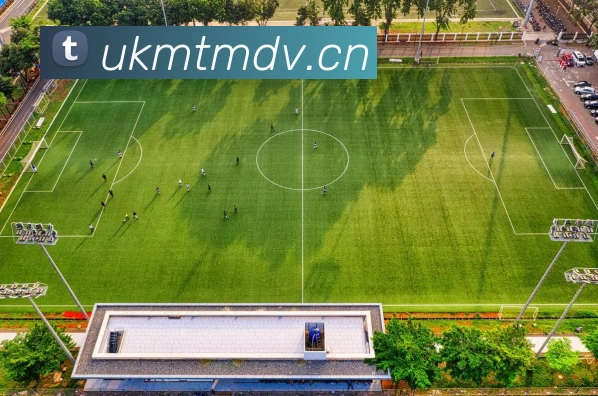 亚博体育APP 封面图